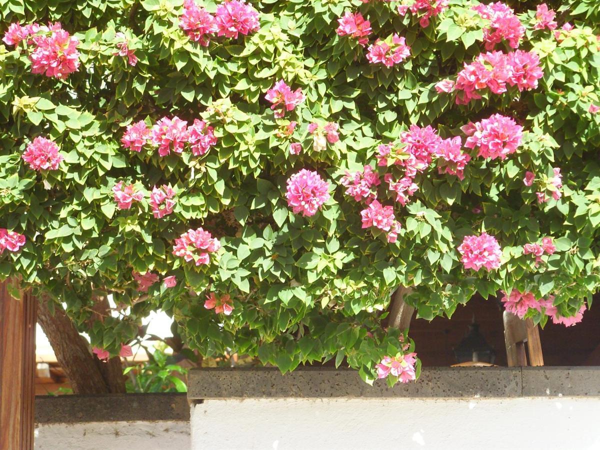 Apartamento Casa La Tahonilla Tías Exterior foto